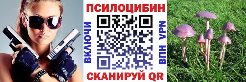 Купить где  Отрадная  Галлюциногенные грибы мухоморы 