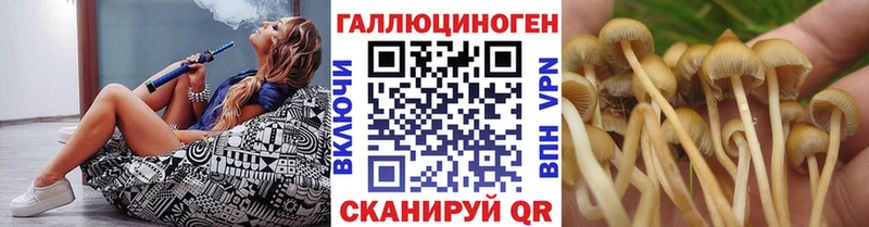 Псилоцибиновые грибы MAGIC MUSHROOMS Отрадная